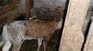 SAM_0575