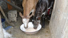 SAM_0590