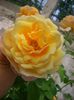 CIMG7895