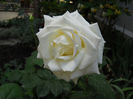 DSCN3427