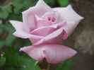 DSCN3406