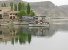 DSCN5008