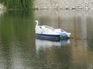 DSCN5026