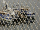 DSCN5029
