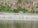 DSCN5030