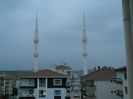 DSCN5031