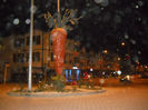 DSCN5039