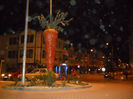 DSCN5040
