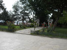 DSCN5070