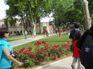 DSCN5072