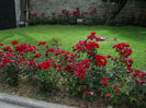 DSCN5074