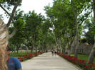DSCN5076