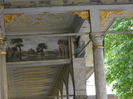 DSCN5107