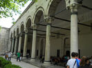 DSCN5113