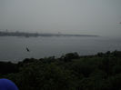 DSCN5115