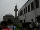DSCN5124