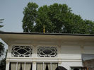 DSCN5126