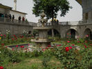 DSCN5133