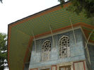 DSCN5135