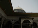 DSCN5140