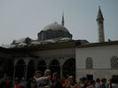 DSCN5146
