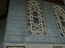 DSCN5147