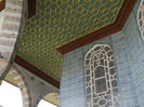 DSCN5148