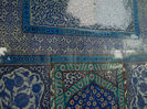 DSCN5161