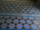 DSCN5162
