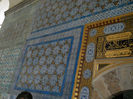DSCN5164