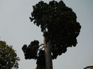 DSCN5172