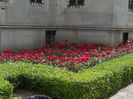 DSCN5178