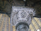 DSCN5229