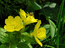 DSCN3361