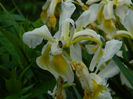 DSCN3405