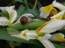 DSCN3441
