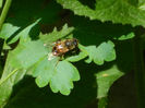DSCN3455