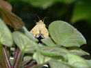 DSCN3607