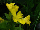 DSCN3626