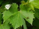 DSCN3693