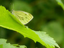 DSCN3700