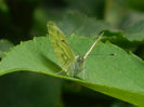 DSCN3703