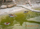 DSCN4047