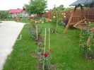 Picture 2874