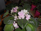 iunie13 (17)