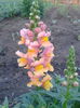 2013-05-31 20.38.24