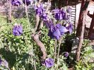 DSCN0366