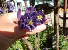 DSCN0367