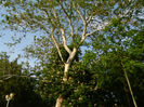 DSCN8444