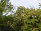 DSCN8460
